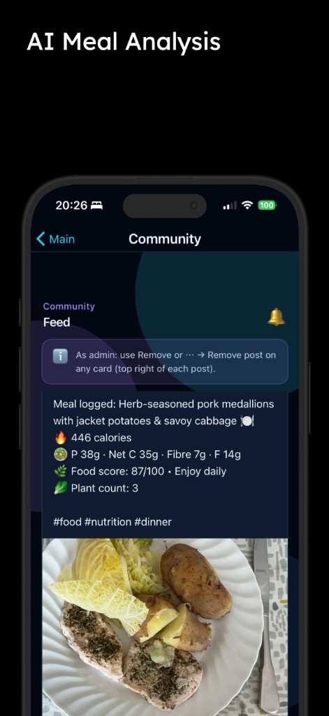 Food logging screen in the Automate My Fitness app